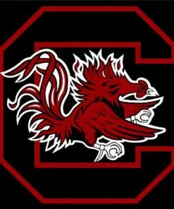 South Carolina Gamecocks Football – Diamond Paintings